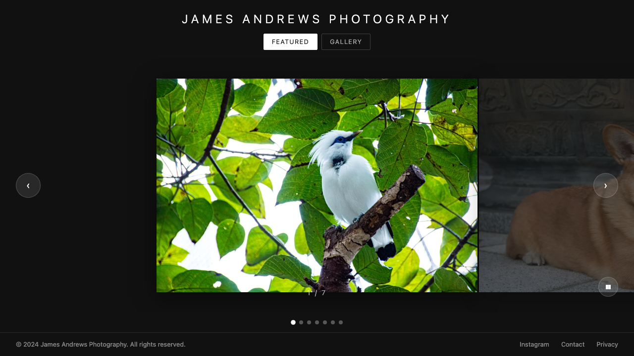 jamesandrewsphotography.com: a dark gallery site showing a white Bali myna perched among green foliage.